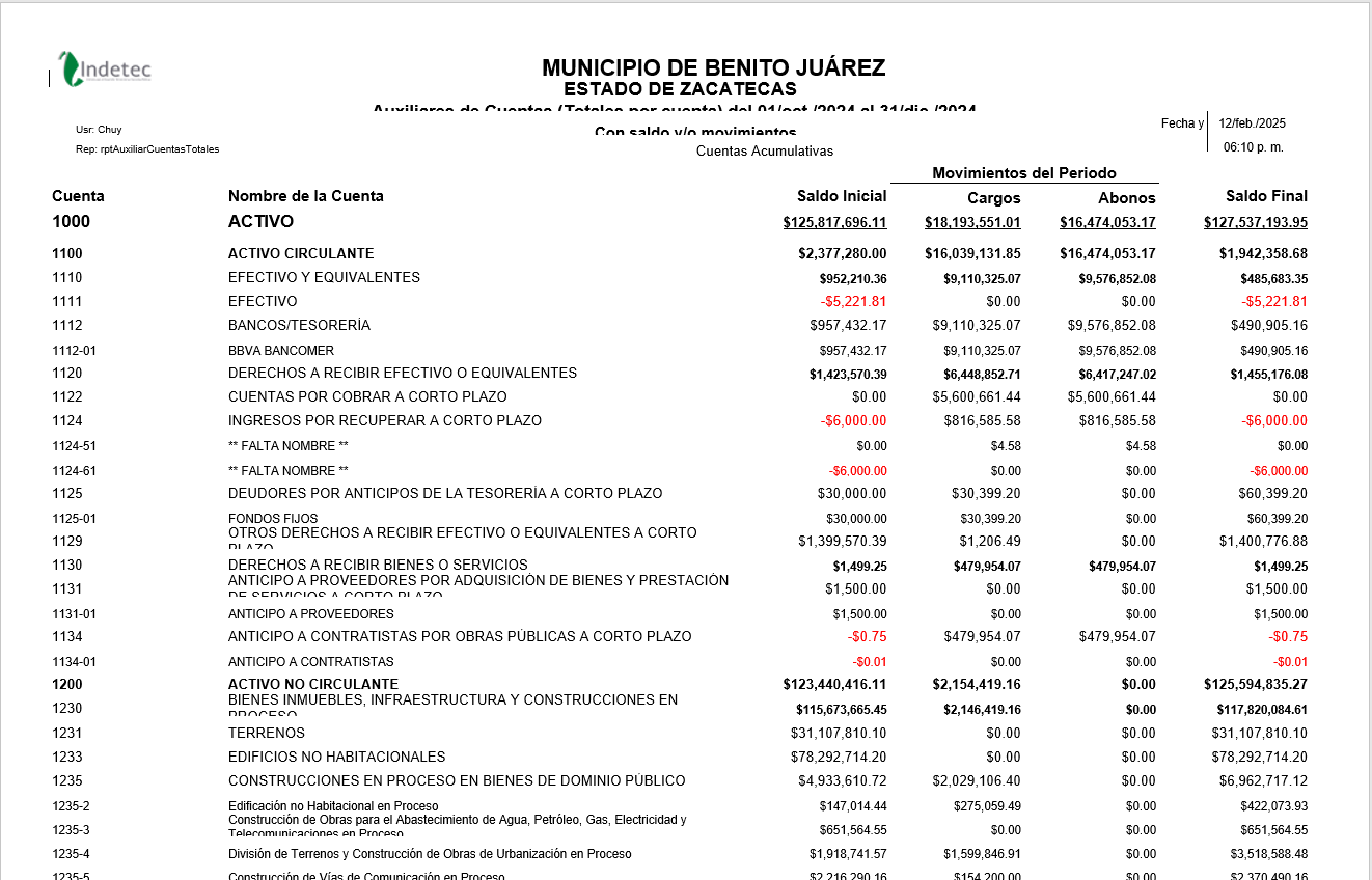 Imagen de rptAuxiliarCuentasTotales compressed