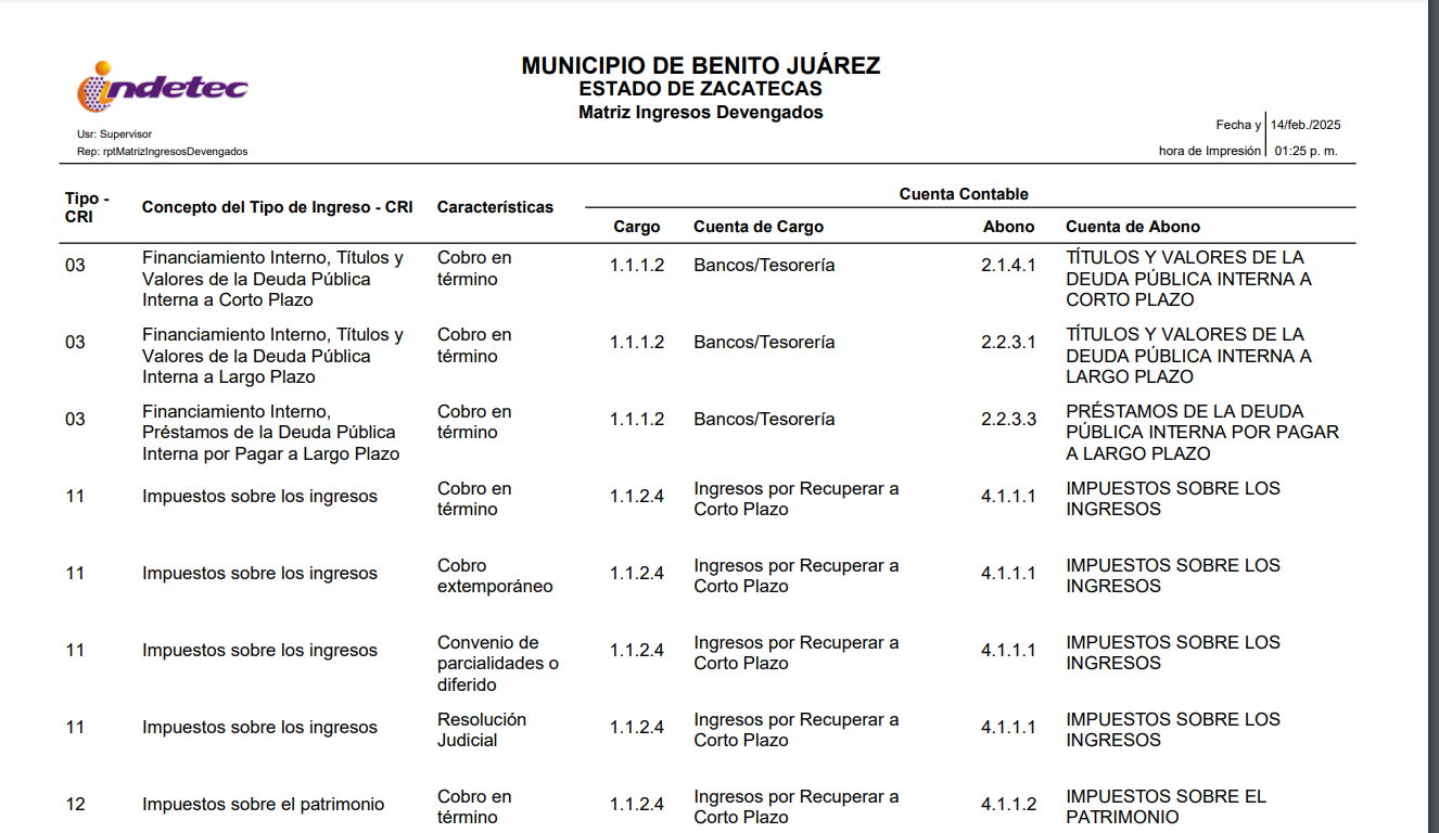 Imagen de MATRIZ DE INGRESOS DEVENGADOS