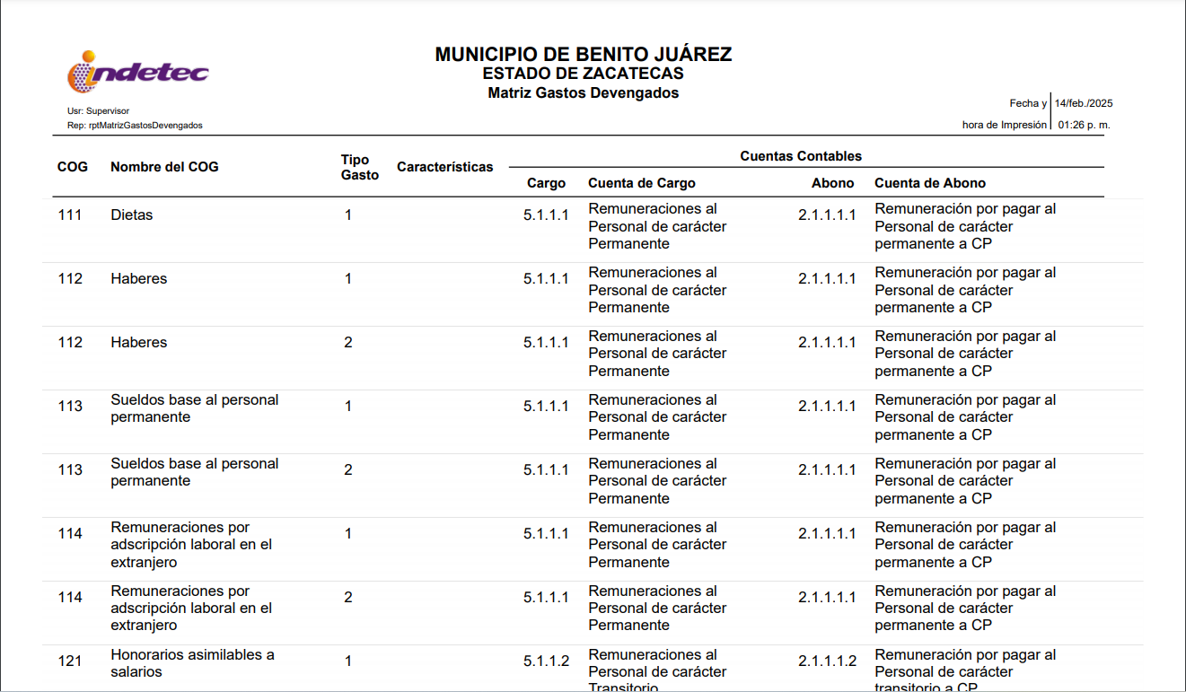Imagen de MATRIZ DE GASTO DEVENGADO