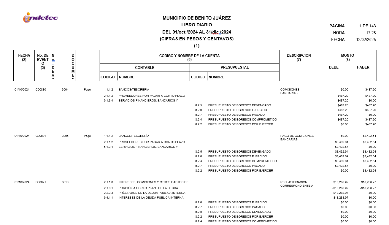 Imagen de LIBRO DIARIO