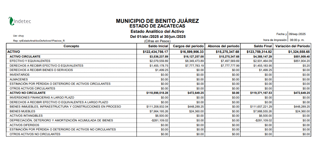 Imagen de ESTADO ANALITICO DEL ACTIVO