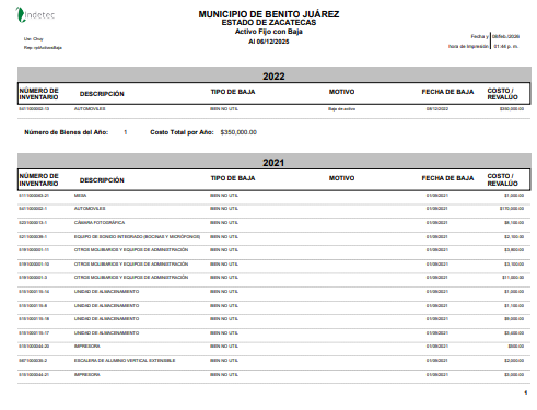 Imagen de ACTIVO FIJO CON BAJA