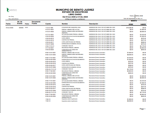 Imagen de LIBRO DIARIO
