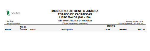 Imagen de LIBRO MAYOR